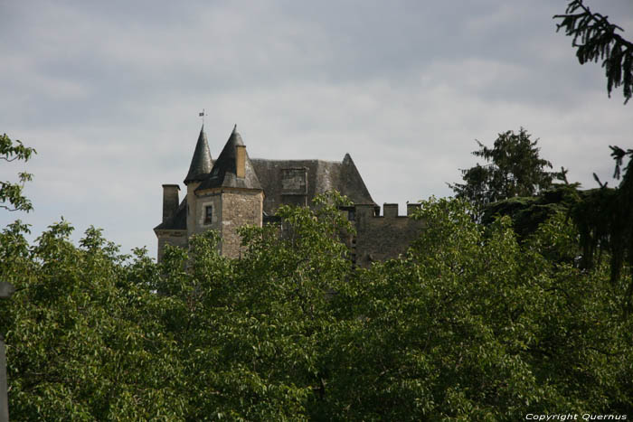 Fayrac - Marqueyssac castle Castelnau la Chapelle / FRANCE 