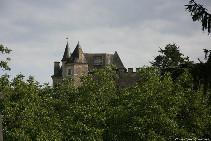 Kasteel van Fayrac - Marqueyssac Castelnau la Chapelle / FRANKRIJK 