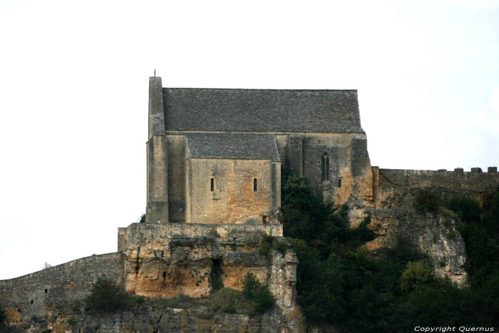 Kasteel van Beynac Beynac et Cazenac / FRANKRIJK 