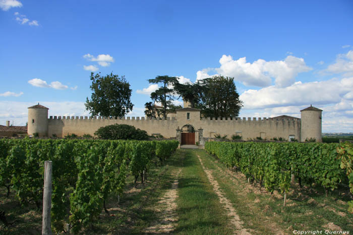 Kasteel Lafaurie-Peyraguey Bommes / FRANKRIJK 