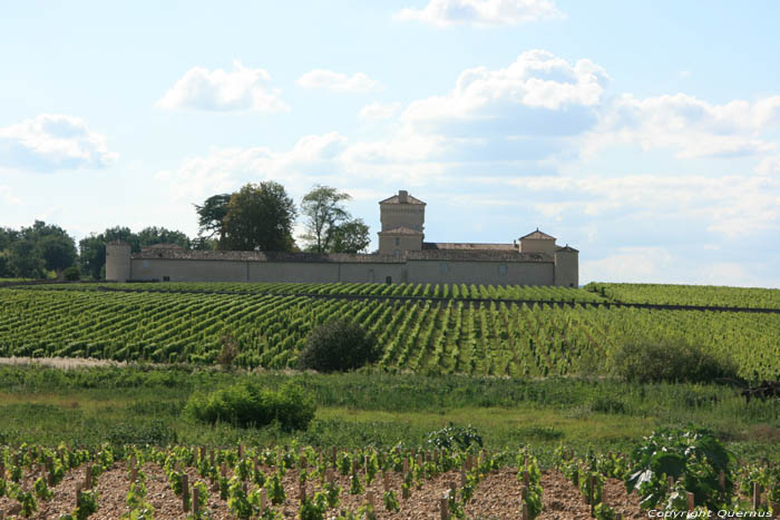 Kasteel Lafaurie-Peyraguey Bommes / FRANKRIJK 