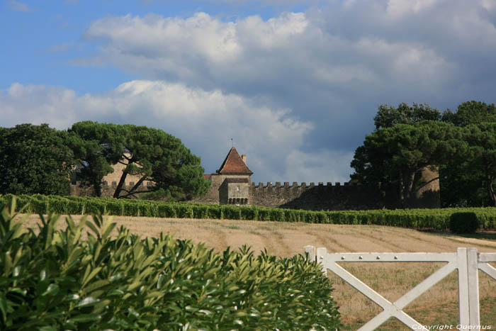 Unknown wine castle Fargues / FRANCE 