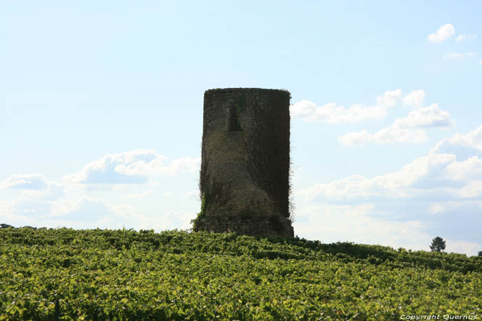 Oude toren Fargues / FRANKRIJK 