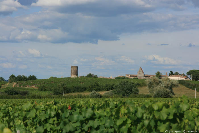 Oude toren Fargues / FRANKRIJK 