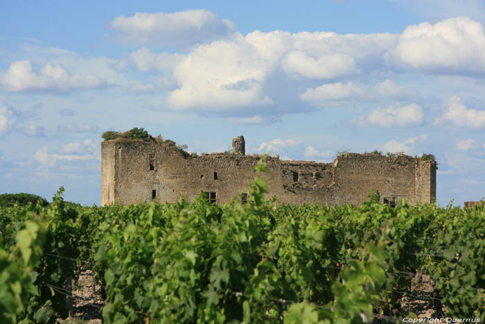 Castle ruins Fargues / FRANCE 