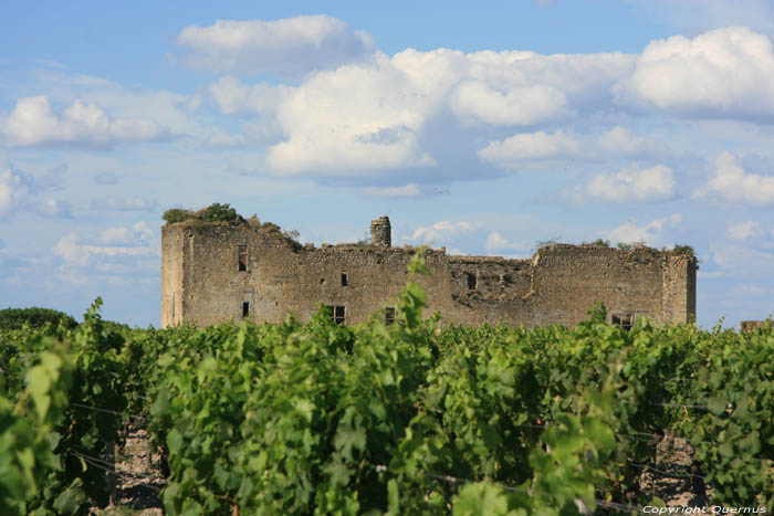 Runes du chteau Fargues / FRANCE 