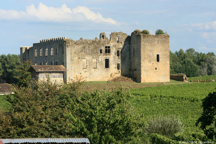 Castle ruins Fargues / FRANCE 