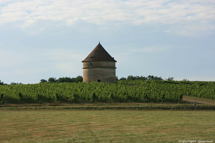 Tour Saint-Flix-de-Foncaude / FRANCE 