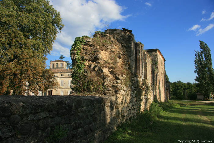 Pommiers castle Saint-Flix-de-Foncaude / FRANCE 