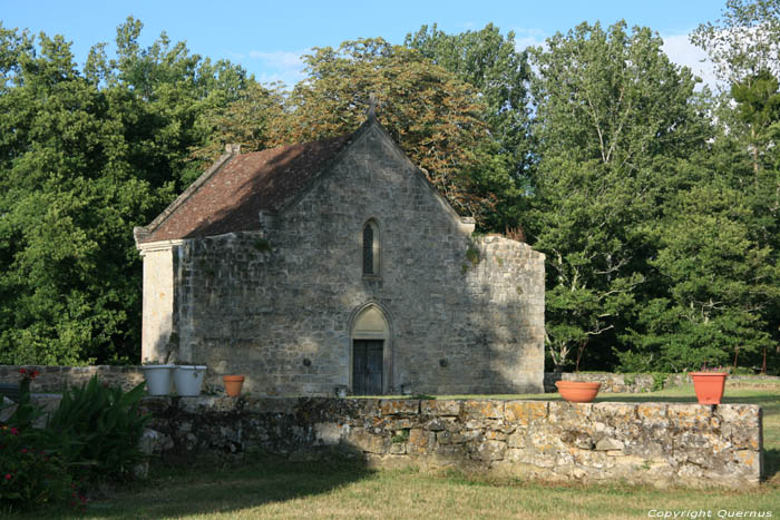 Chteau ou Castrum de Pommiers Saint-Flix-de-Foncaude / FRANCE 