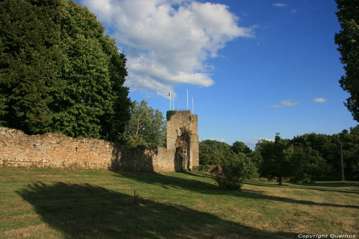 Kasteel van de Appelbomen (Pommiers) Saint-Flix-de-Foncaude / FRANKRIJK 