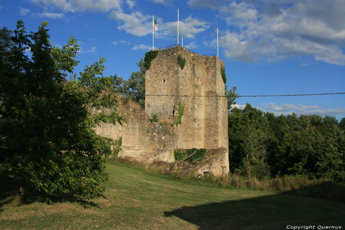 Chteau ou Castrum de Pommiers Saint-Flix-de-Foncaude / FRANCE 