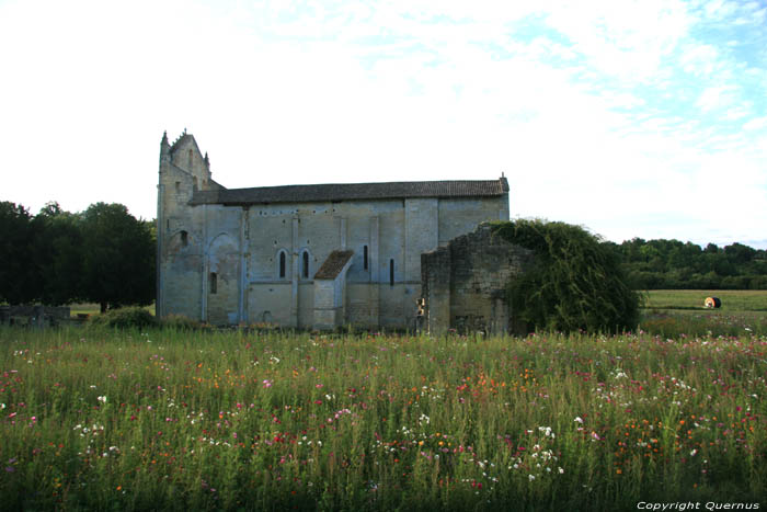 Abbaye Blasimon et glise Saint Nicolas Blasimon / FRANCE 