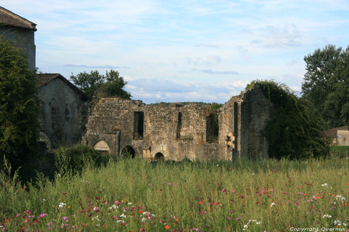 Abbey Blasimon and Saint Nicolas's church Blasimon / FRANCE 