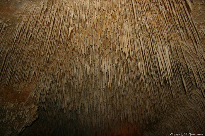 Cougnac cave PAYRIGNAC / FRANCE 