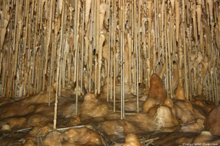 Grotte de Cougnac PAYRIGNAC / FRANCE 