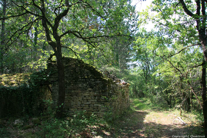 Small walls / probably remains of wineyards Daglan / FRANCE 