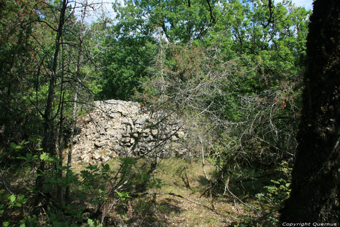 Petites murailles / probablement restes de vignobles Daglan / FRANCE 