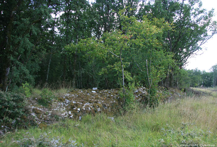 Muurtjes in natuur / allicht overblijfselen wijngaarden Daglan / FRANKRIJK 