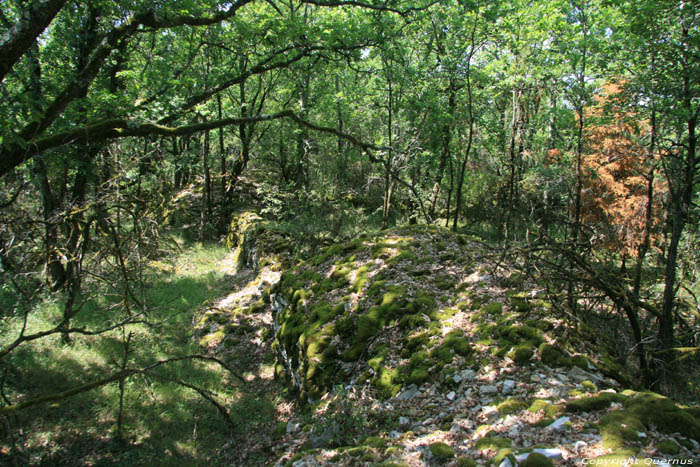 Muurtjes in natuur / allicht overblijfselen wijngaarden Daglan / FRANKRIJK 