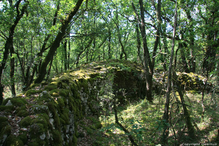 Small walls / probably remains of wineyards Daglan / FRANCE 