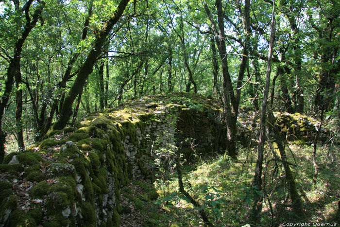 Petites murailles / probablement restes de vignobles Daglan / FRANCE 