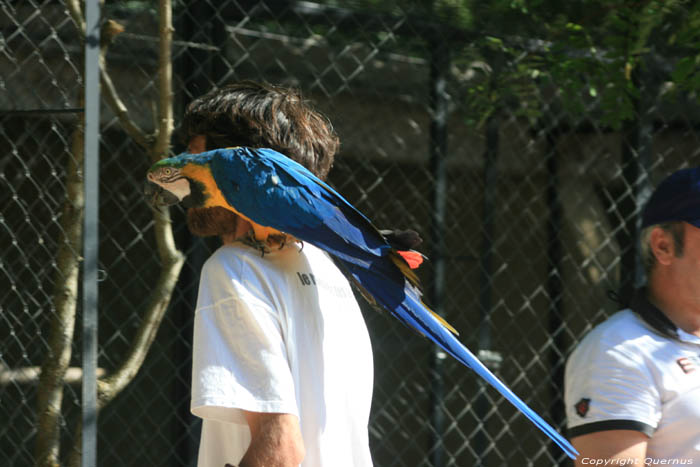 Vogelpark Rocamadour / FRANKRIJK 