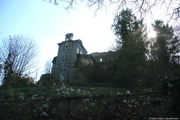 Ruïne de château d'Agimont (Manoir) NAMUR / HASTIERE photo 