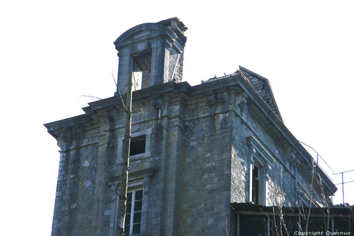 Rune de chteau d'Agimont (Manoir) NAMUR  HASTIERE / BELGIQUE 