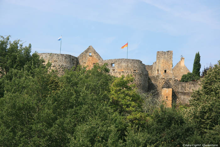 Stadszicht Domme / FRANKRIJK 