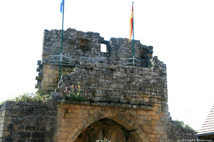 Gate Del Bos Domme / FRANCE 