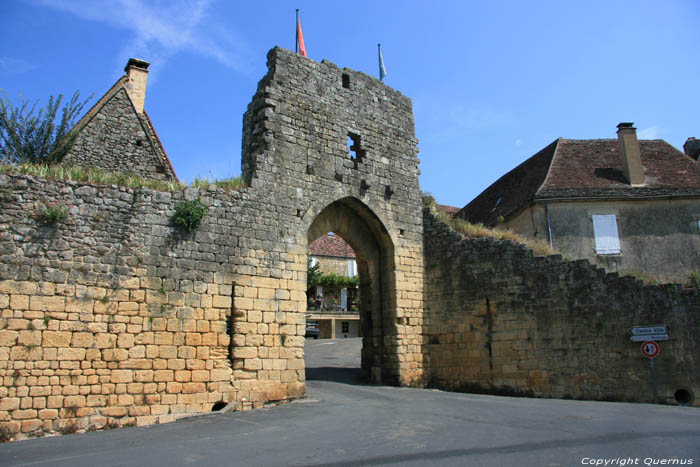 Gate Del Bos Domme / FRANCE 