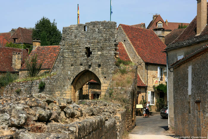 Gate Del Bos Domme / FRANCE 