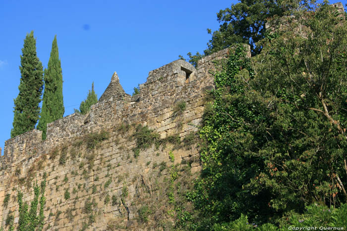 Kasteel Montfort in CARSAC AILLAC / FRANKRIJK 