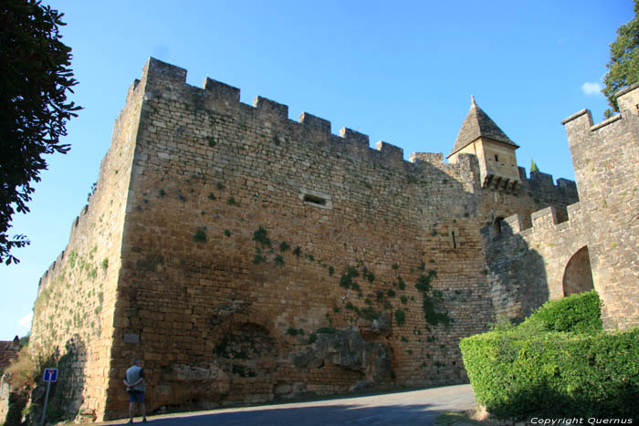 Kasteel Montfort in CARSAC AILLAC / FRANKRIJK 