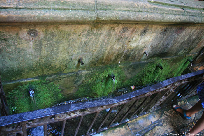 Saint Mary's fountain Sarlat-le-Canda / FRANCE 