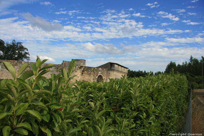 Castle Saint Quentin de Baron / FRANCE 