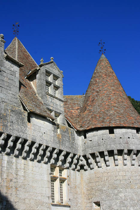 Monbazillac Castle Monbazillac / FRANCE 