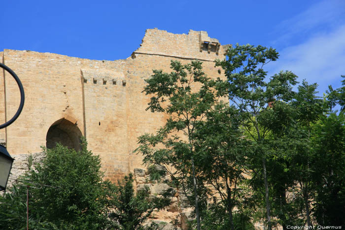 Caslte Ruins Carlux / FRANCE 