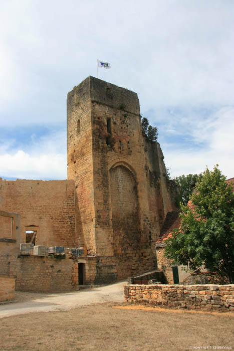 Caslte Ruins Carlux / FRANCE 