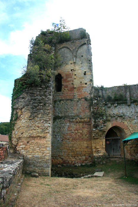 Caslte Ruins Carlux / FRANCE 