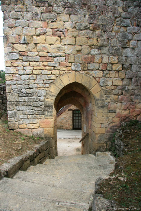 Caslte Ruins Carlux / FRANCE 