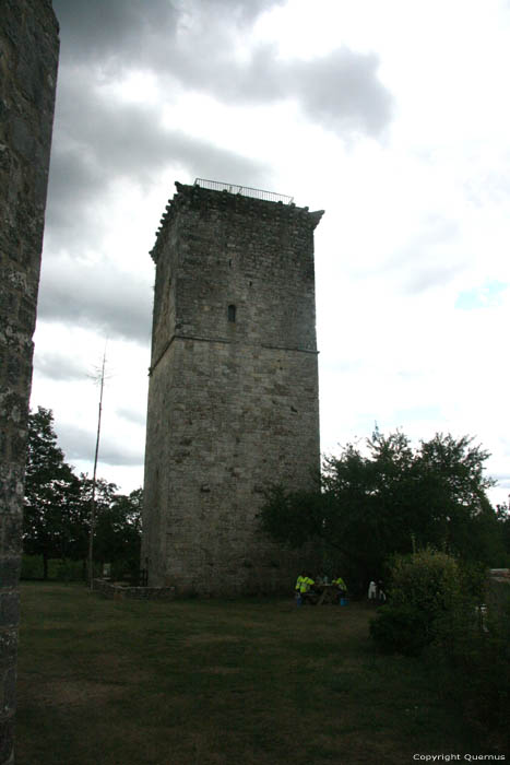 Tour de guet Chavagnac / FRANCE 