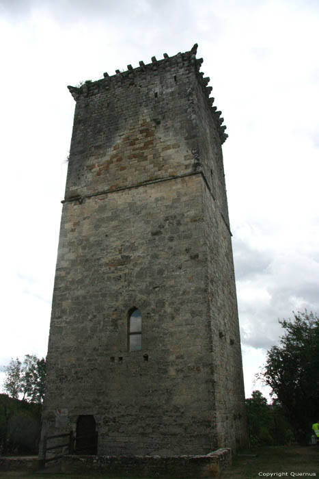 Donjon Chavagnac / FRANCE 