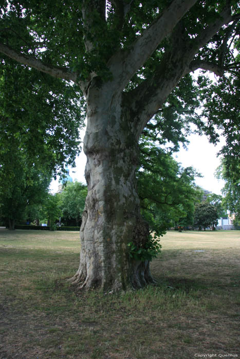 Stadspark Darmstadt / Duitsland 