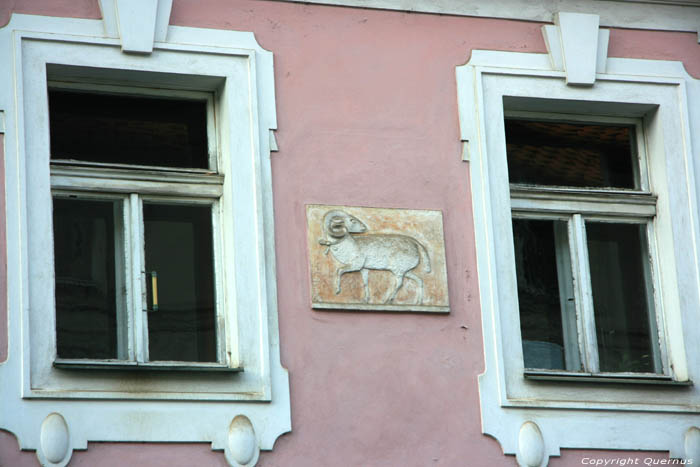 Ram Praag in PRAAG / Tsjechi 