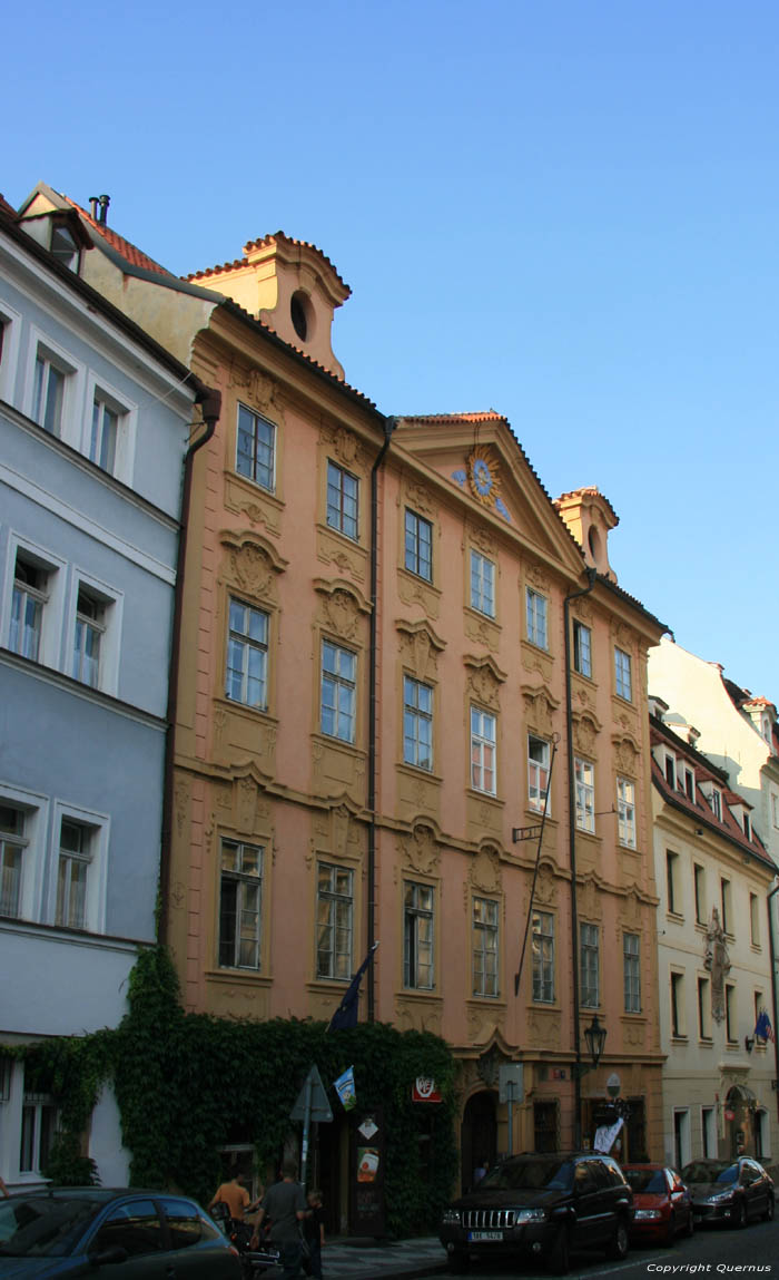 Pigeon Pragues in PRAGUES / Czech Republic 