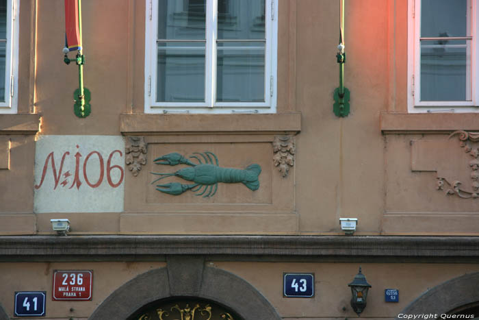 The Green Lobster Pragues in PRAGUES / Czech Republic 