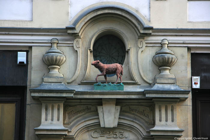 Rood Schaap Praag in PRAAG / Tsjechi 