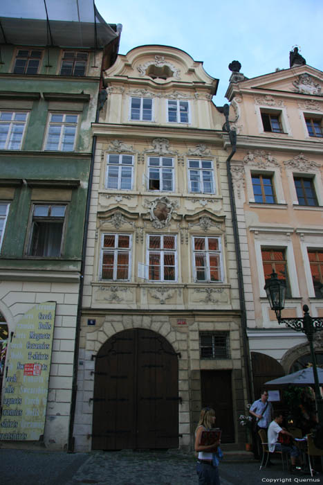 Vogel Praag in PRAAG / Tsjechi 